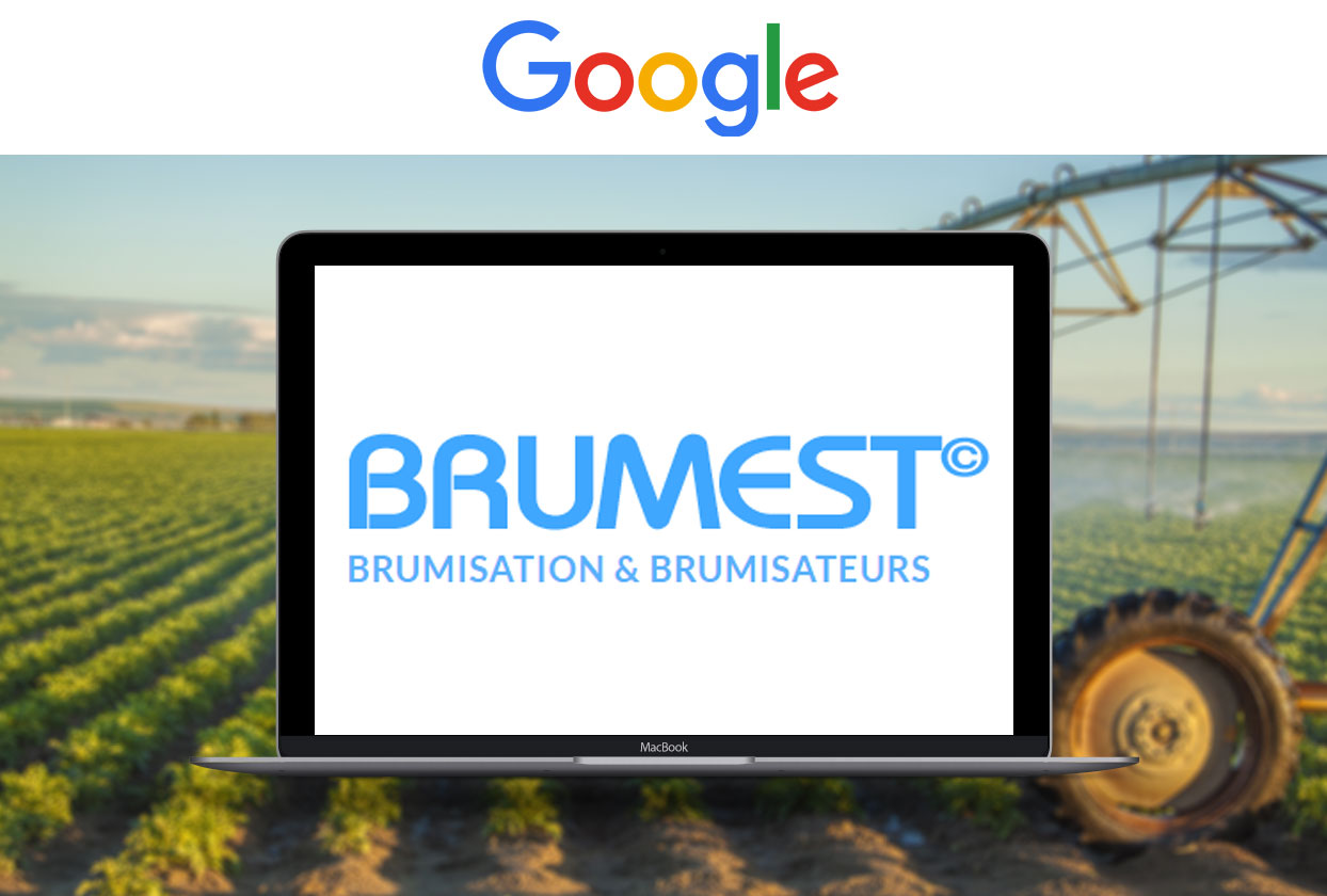 brumest-referencement-netlinking