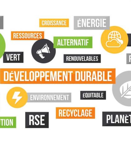 RSE, responsabilité sociétale des entreprises