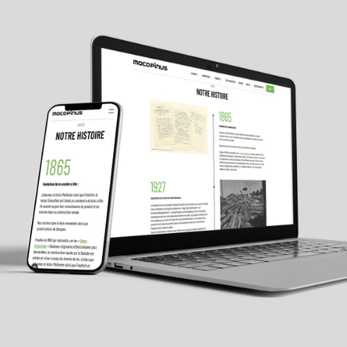 Site web sur l'histoire de Mocopinus