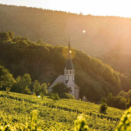 Vue sur le domaine Wach et ses vignes
